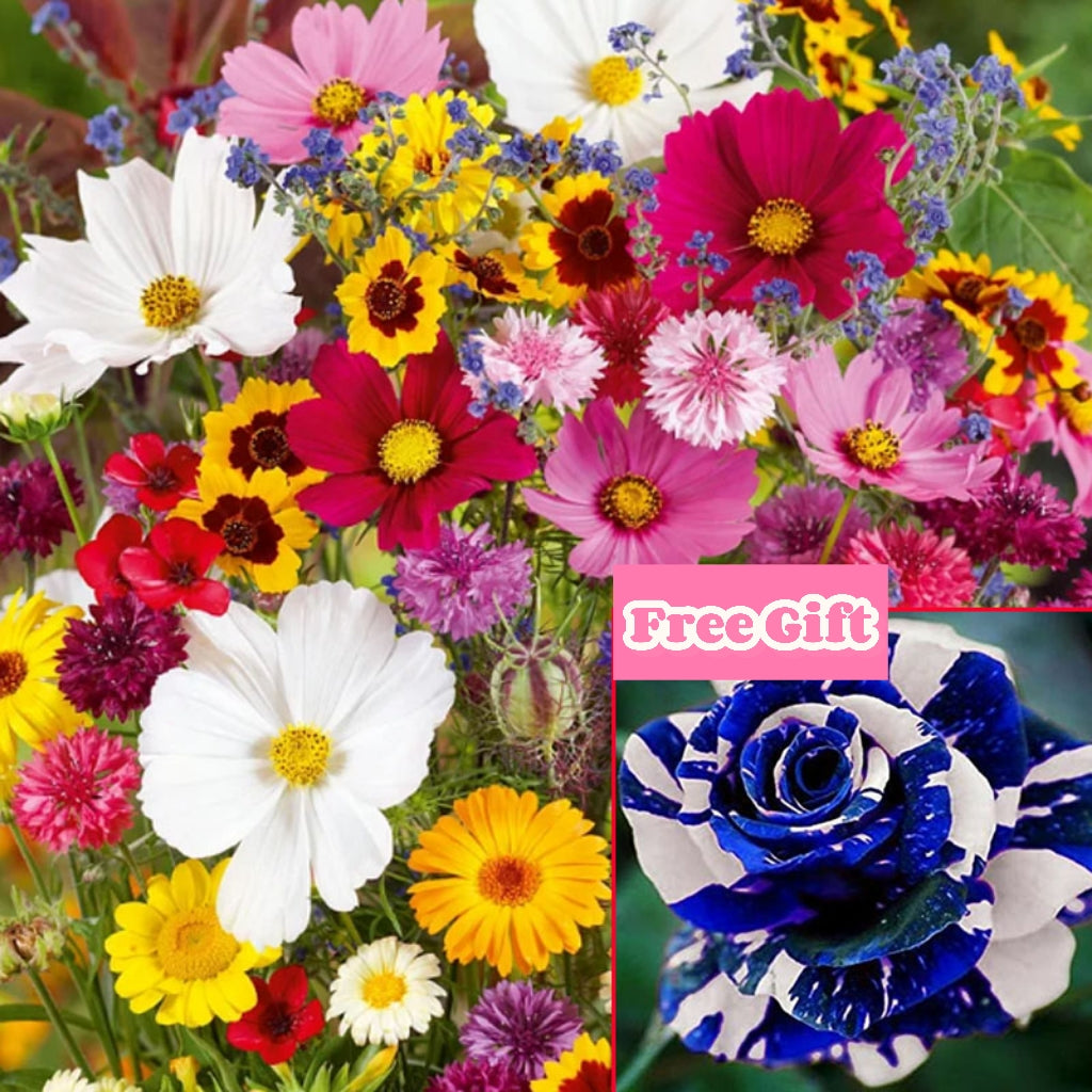 🔥Último día de venta💐Semillas de flores perennes mixtas: más de 60 variedades mixtas-ES
