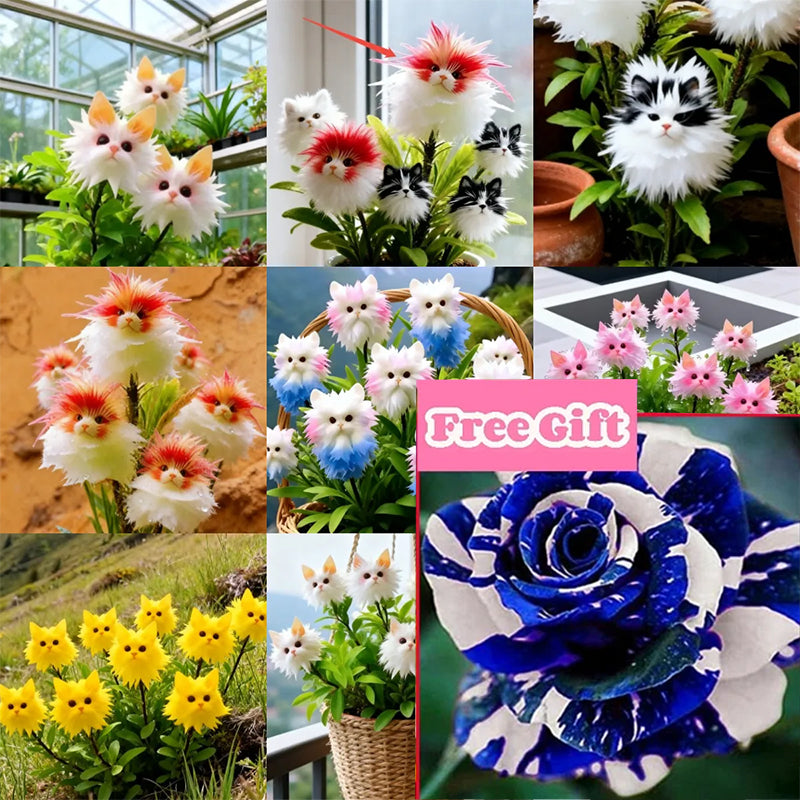 ¡Plantas mágicas! La deslumbrante serie "Ojo de Gato"✨-ES