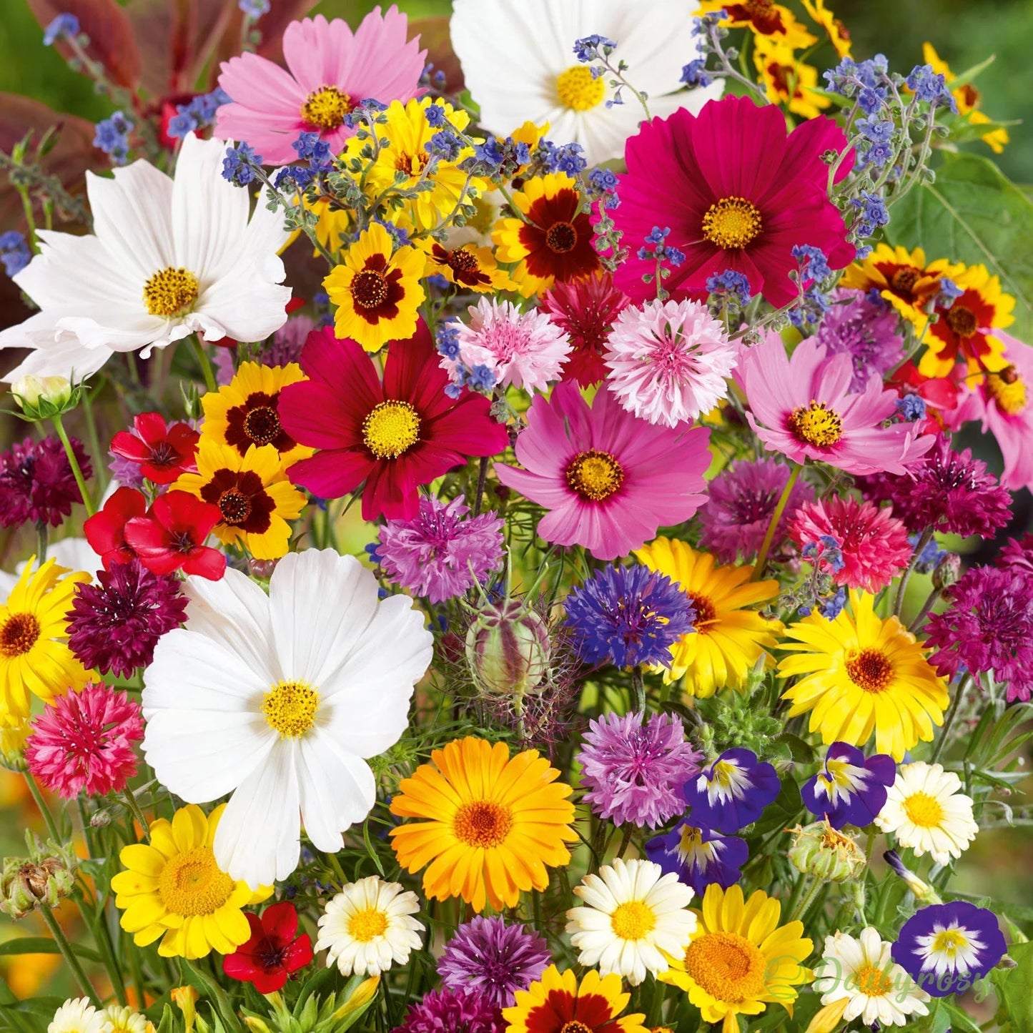 🔥Último día de venta💐Semillas de flores perennes mixtas: más de 60 variedades mixtas-ES