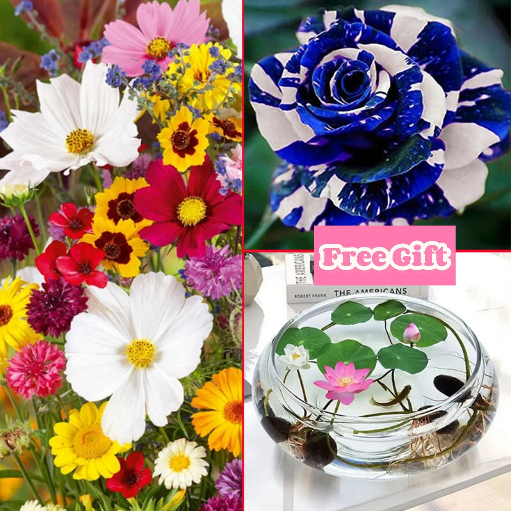 🔥Último día de venta💐Semillas de flores perennes mixtas: más de 60 variedades mixtas-ES