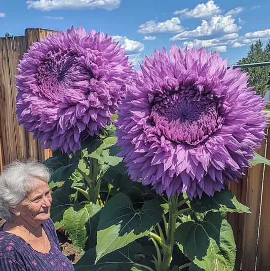 🌻 Adorable oso de peluche gigante Girasol 🔆-ES