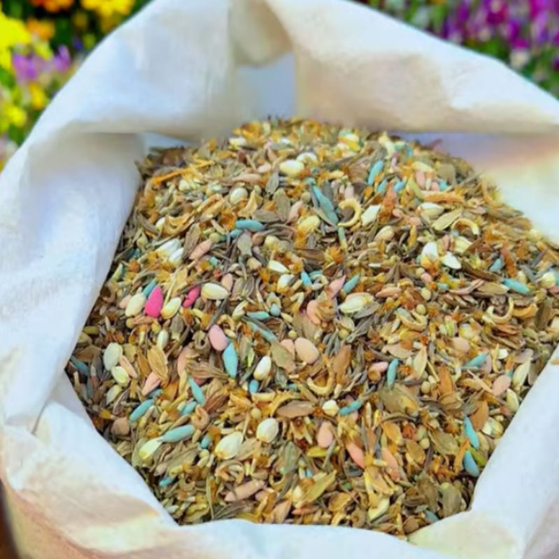 🔥Último día de venta💐Semillas de flores perennes mixtas: más de 60 variedades mixtas-ES