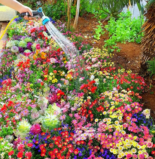 🔥Último día de venta💐Semillas de flores perennes mixtas: más de 60 variedades mixtas-ES