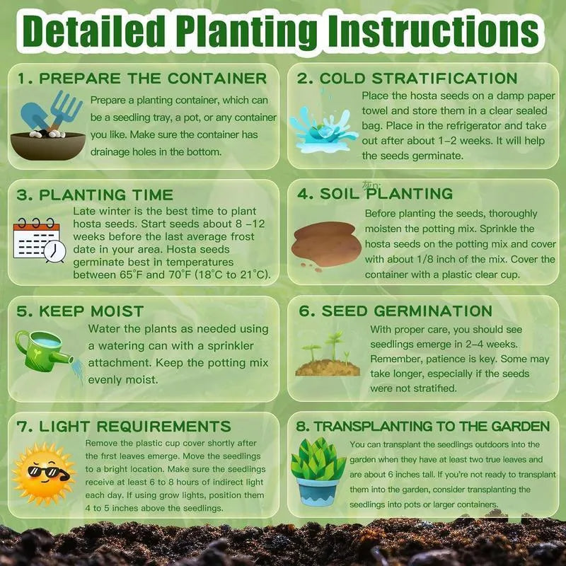 Semillas de la planta Rainbow Haze-ES