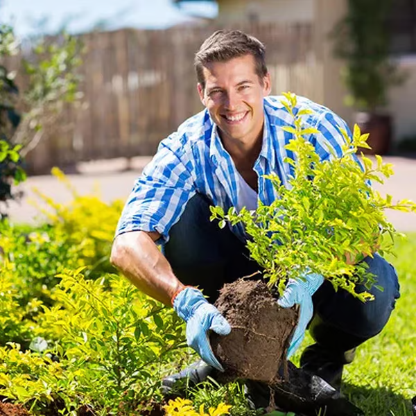 🔥ΑΓΟΡΑΣΤΕ 1 ΠΑΡΤΕ 1 ΔΩΡΕΑΝ🔥 Ένα μέσο χαλάρωσης που βελτιώνει τις ιδιότητες του εδάφους-GR
