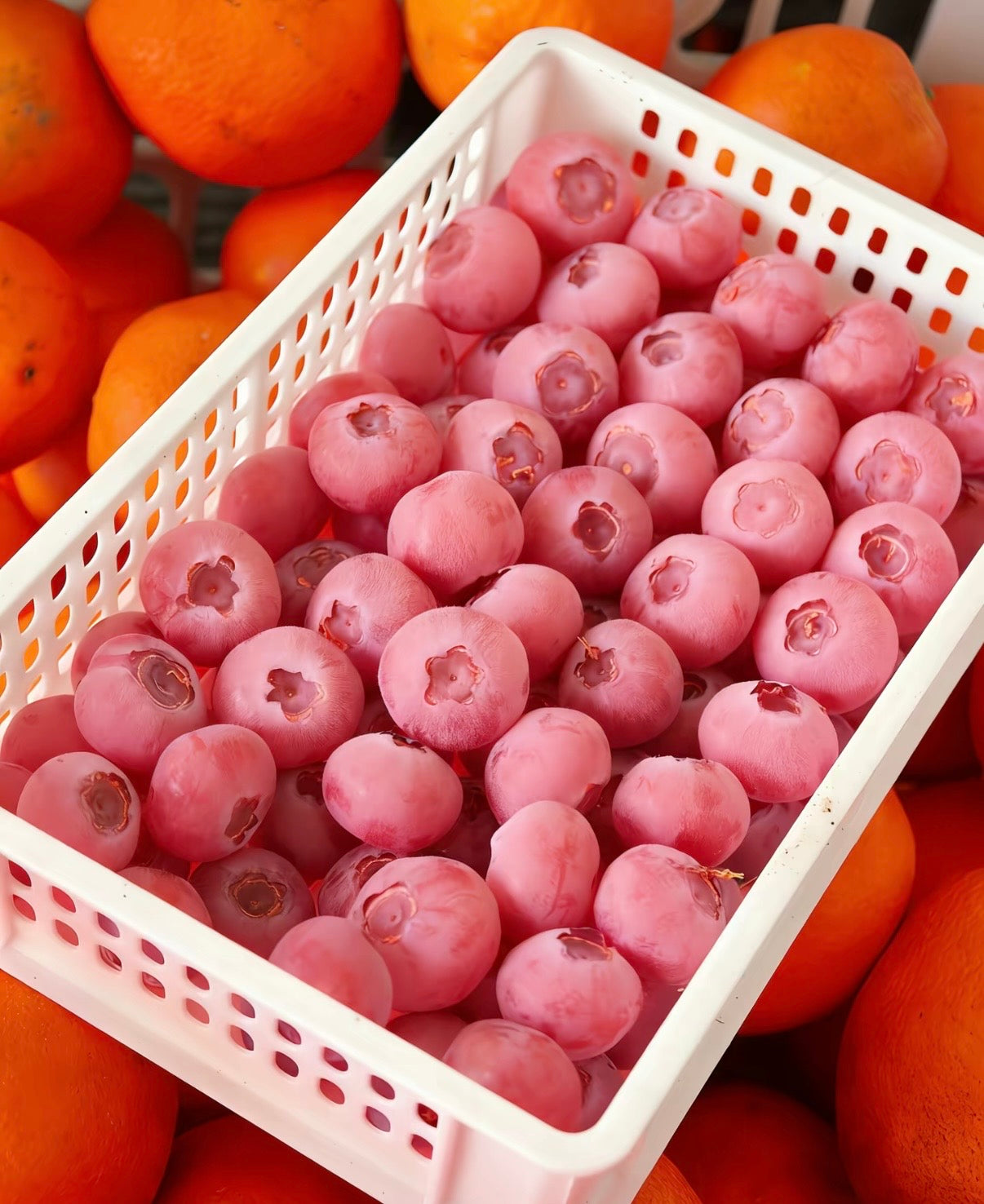 Semienka čučoriedok Pink Bliss – Dvojitá sladkosť-SK