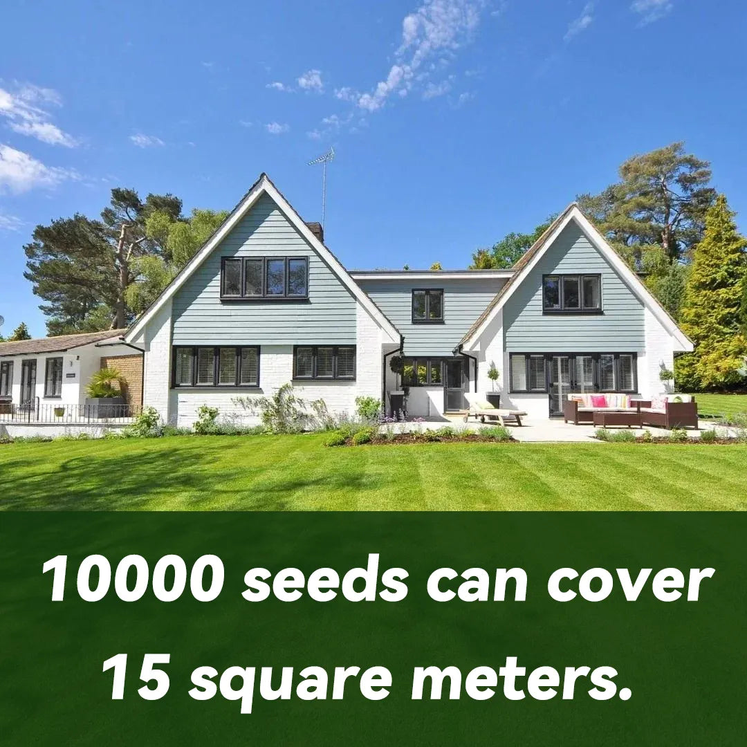 🌱 Σπόροι Four Seasons Evergreen Dwarf Grass | Δημιουργήστε το τέλειο γκαζόν σας ξεκινώντας από εδώ!-GR