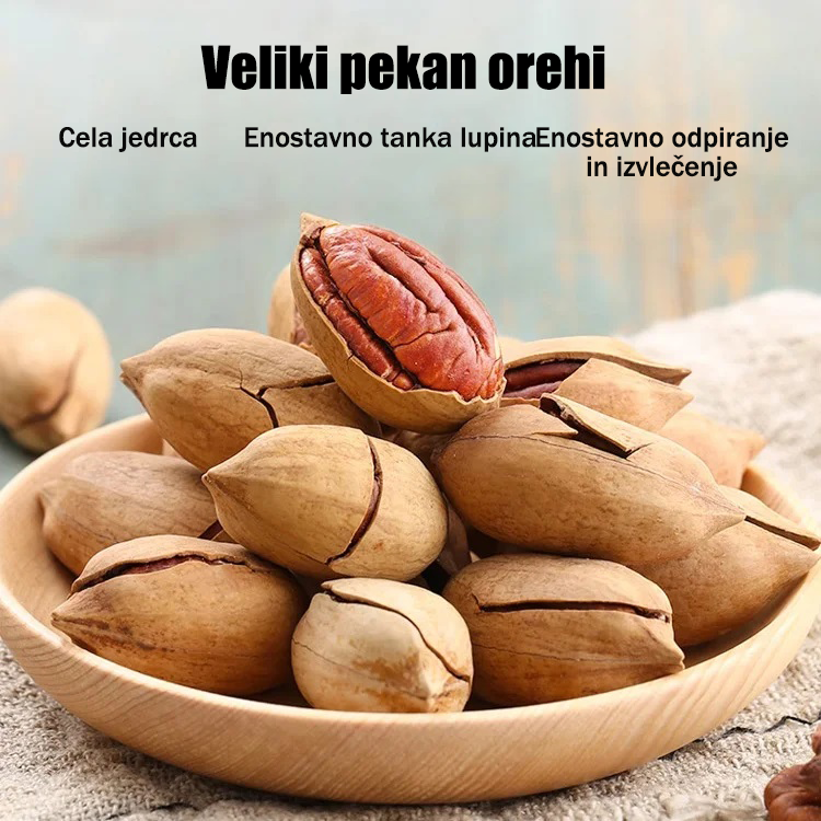 Sadike pekan orehov, uvožene iz Amerike-SI