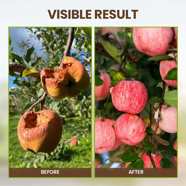 🔥ΑΓΟΡΑΣΤΕ 1 ΠΑΡΤΕ 1 ΔΩΡΕΑΝ🔥 Ένα μέσο χαλάρωσης που βελτιώνει τις ιδιότητες του εδάφους-GR