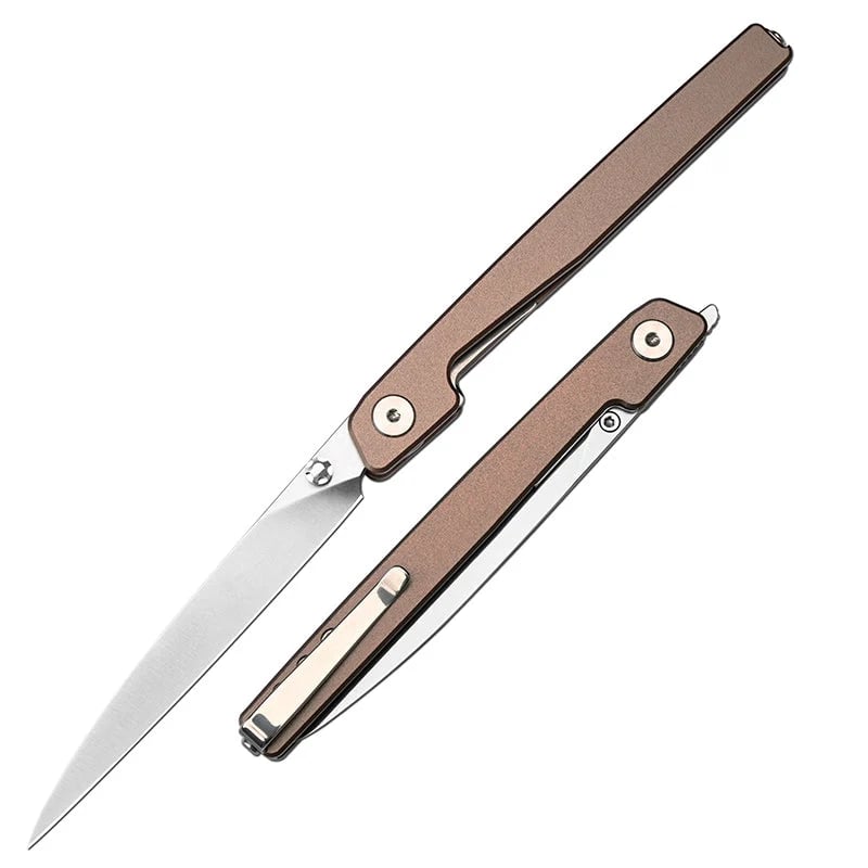 🔥Zadnja dnevna razprodaja 50 % POPUSTA🎉Nož Lanky Liner Lock Front Flipper s črnim aluminijastim ročajem-SI