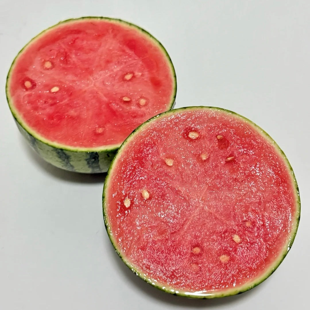 Tanko lupinasta semena lubenice 🍉-SI