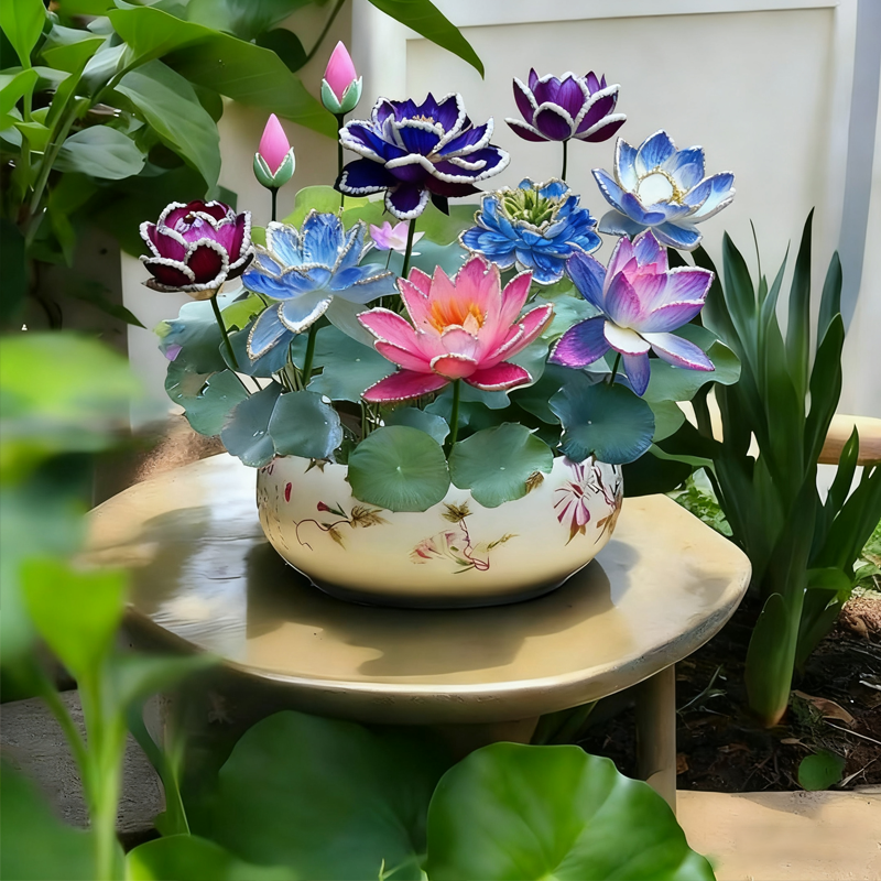 💮Vidurnakčio violetinės lotoso sėklos-LT