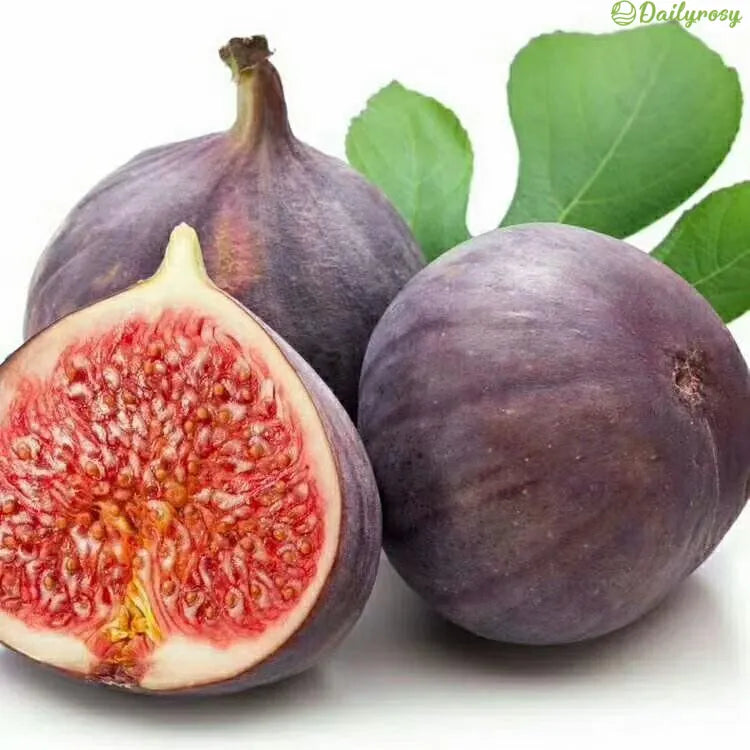 🍑Σπόροι Σύκου Super Giant – Γλυκύτητα Ροδάκινου σε Κάθε Μπουκιά! 🌟-GR