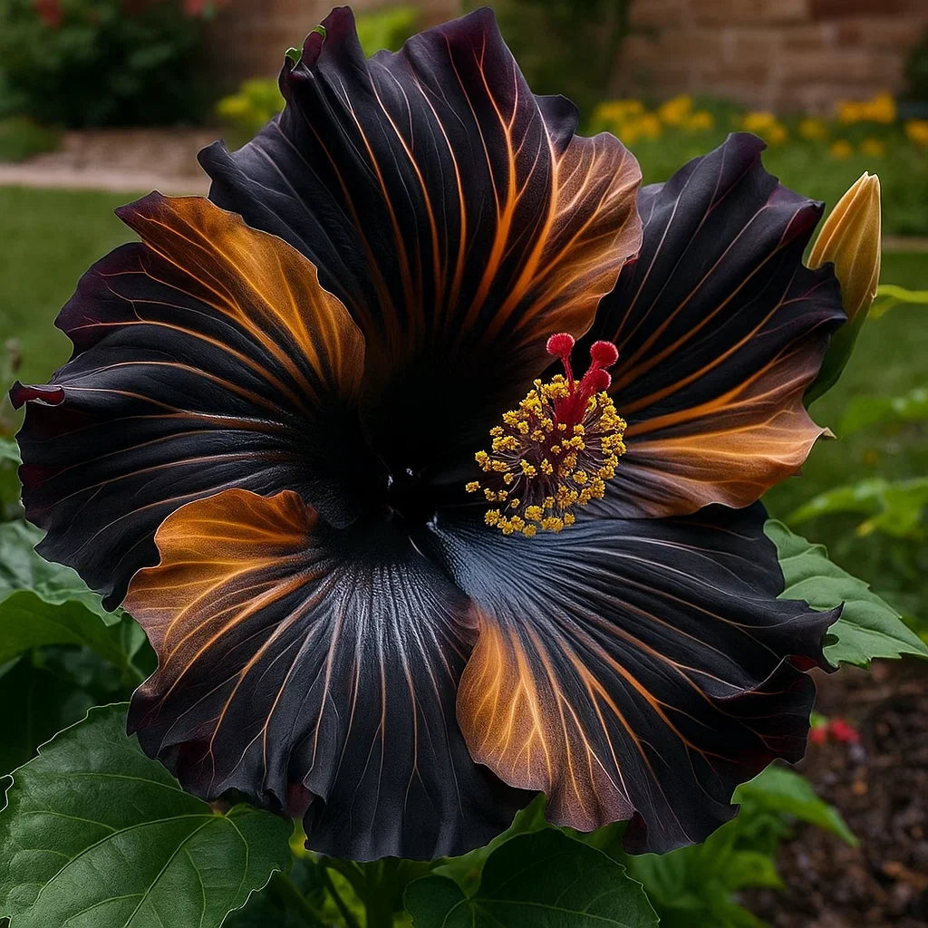 🔥 VROČA RAZPRODAJA - 50 % POPUST 🔥🌸 Semena dvojnega hibiskusa - enostavna za gojenje 🌸-SI