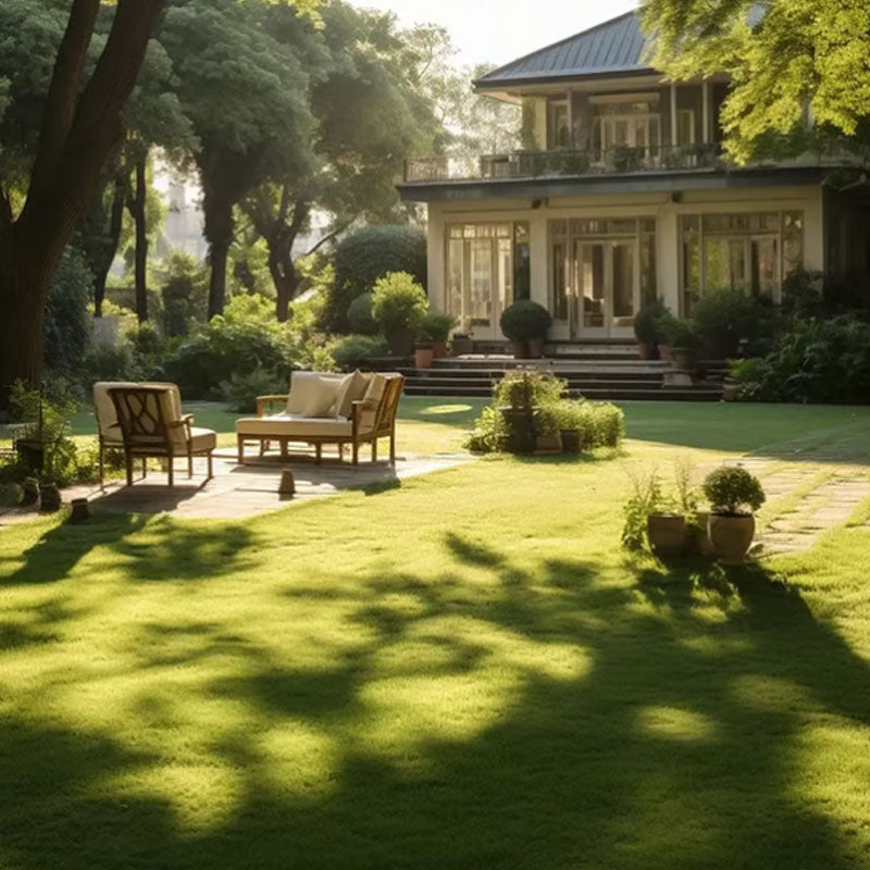 🔥🌱Semillas de césped enano perenne para las cuatro estaciones🌾 | Crea tu césped perfecto aquí🌼-ES