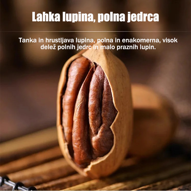 Sadike pekan orehov, uvožene iz Amerike-SI