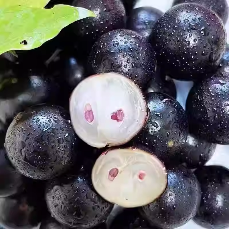 Semillas de uva jabuticaba-ES