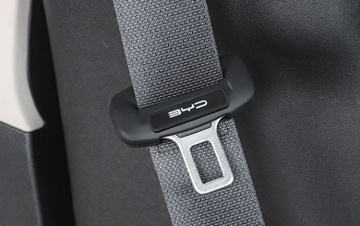 Funda protectora para la hebilla del cinturón de seguridad del coche🎉2 uds.🎉-ES