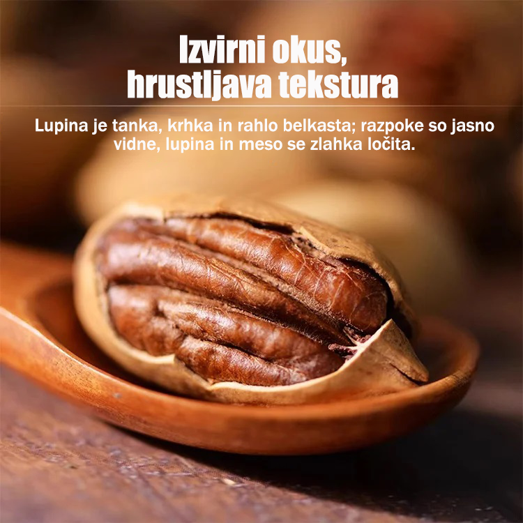 Sadike pekan orehov, uvožene iz Amerike-SI