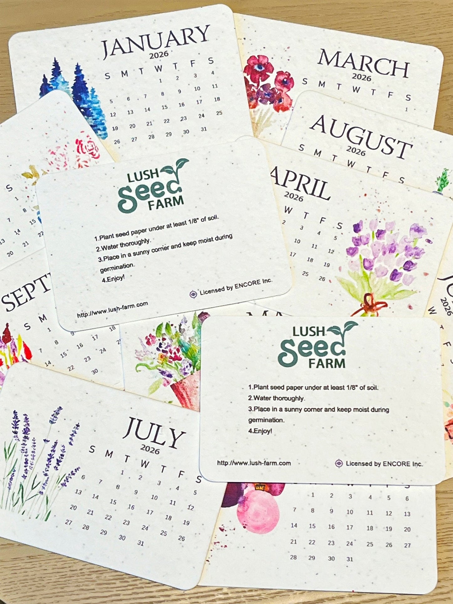 ✨Νέες Αφίξεις με Έκπτωση 49% Σήμερα🌱Ημερολόγιο Φύτευσης Οικολογικών Σπόρων Αγάπης για το 2026-GR