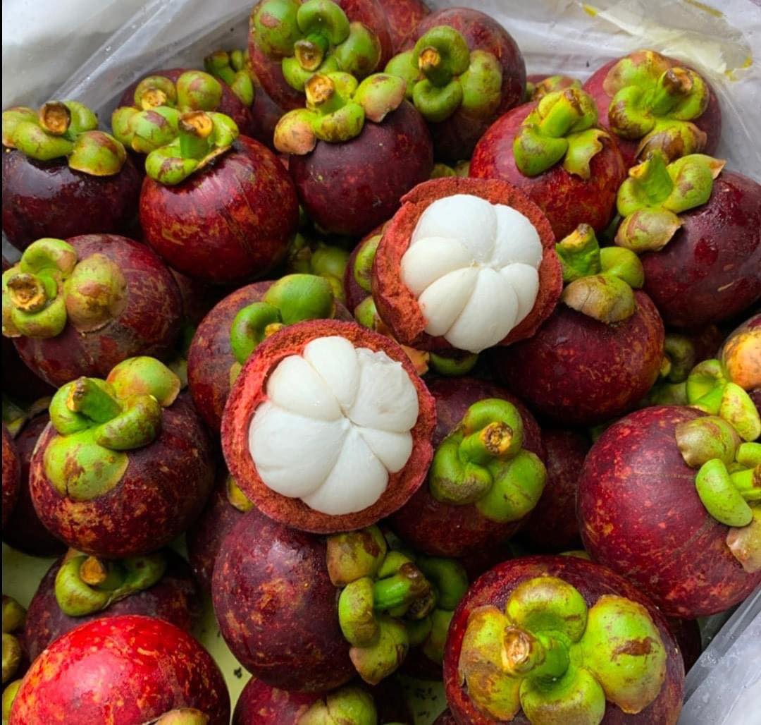 Mangostin-SI