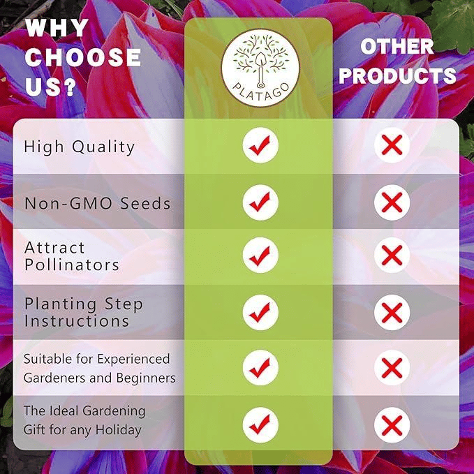 🌿 Redke čebulice hoste🎁 Posebna ponudba 2025-SI