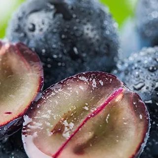 Semillas de uva jabuticaba-ES