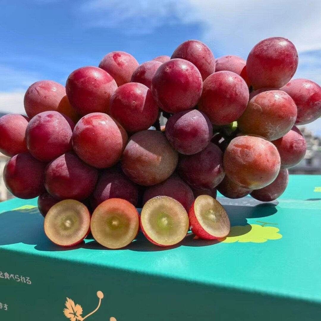 Ograničena nova sorta – sjemenke grožđa Queen Nina za slatke, sočne vrtne berbe 🍇-HR