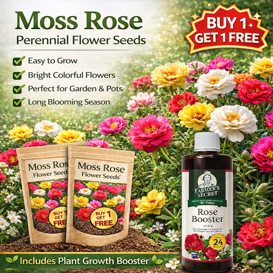 💫🌸COMPRA 1, LLÉVATE 1 GRATIS | Rosa musgosa🌿 Semillas de flores perennes con suplemento para el crecimiento de la planta-ES