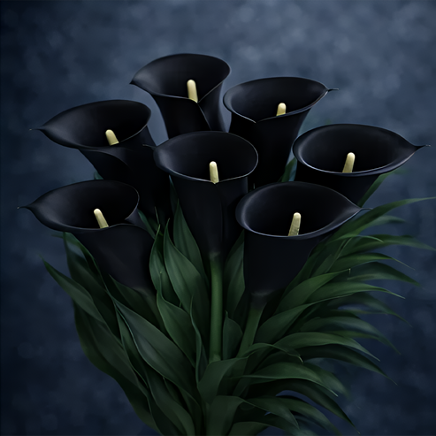 🌷 Misteriosa cala aurora-ES