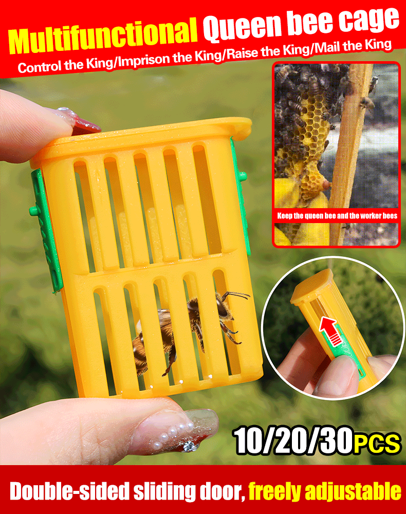 Jaula de cría de abejas reinas.🐝Jaula de reina con puerta corrediza de doble cara para transportar reinas.-ES