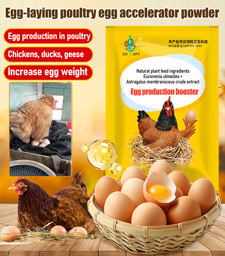 【2/4/6/8 vnt.】 🦆🐓Maisto papildas vištų, ančių ir žąsų kiaušinių gamybai. Maisto papildas šerti.-LT