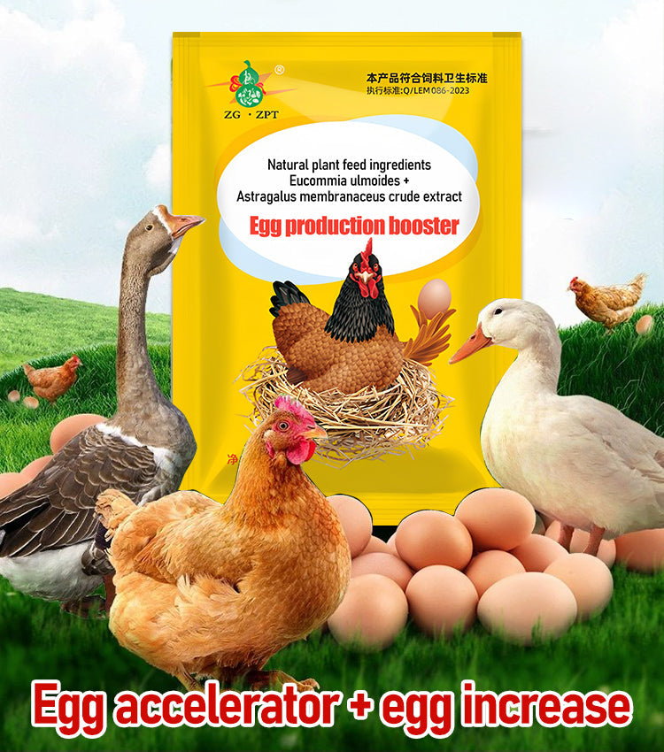 【2/4/6/8 vnt.】 🦆🐓Maisto papildas vištų, ančių ir žąsų kiaušinių gamybai. Maisto papildas šerti.-LT