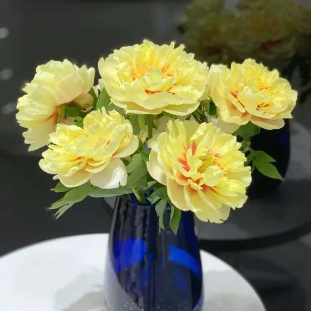 🌺Nuostabios mišrios bijūnų sėklos-LT