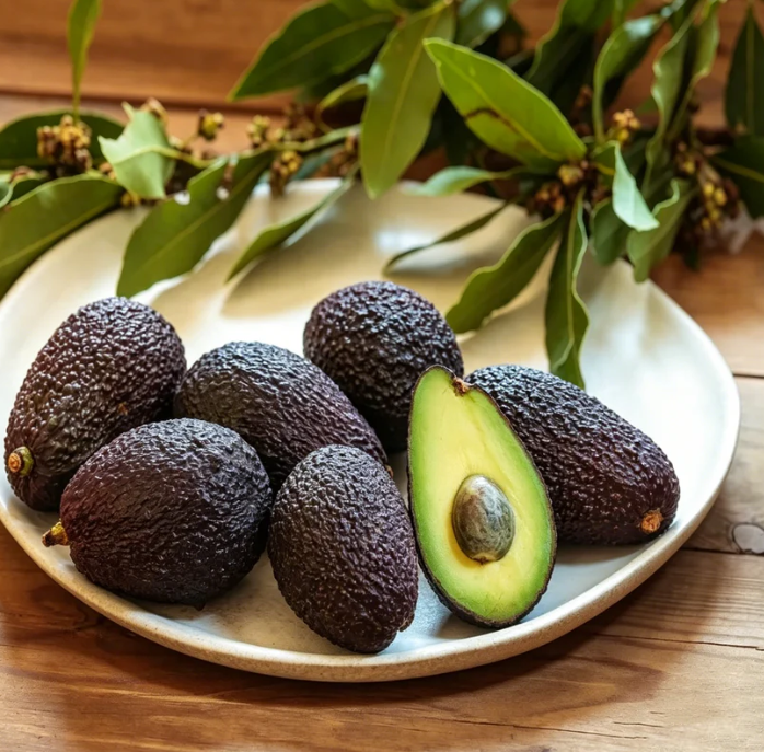 🍃 Serie Heirloom Manor: Set de 13 semillas de frutas seleccionadas (sin OMG) 🌳 – Producto más vendido-ES
