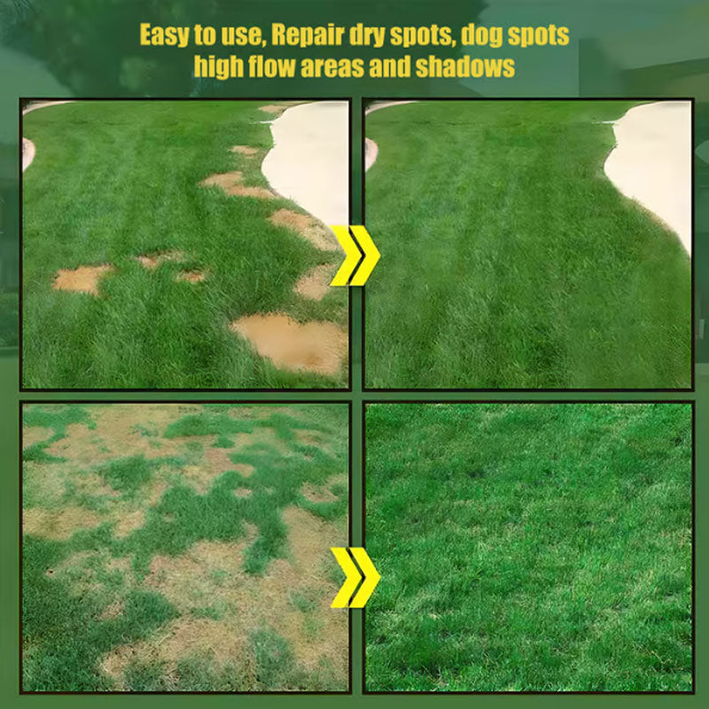 🔥🌱Semillas de césped enano perenne para las cuatro estaciones🌾 | Crea tu césped perfecto aquí🌼-ES