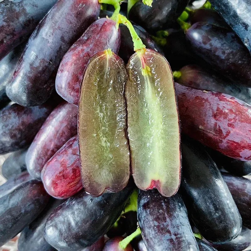 🔥 POSLEDNÝ DEŇ AKCIA 30% ZĽAVA 💜 Sladké zafírové hrozno (vzácne odrody hrozna) 🍇-SK