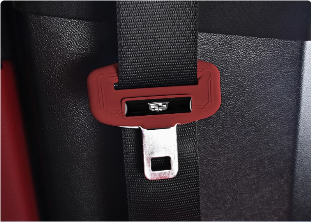 Funda protectora para la hebilla del cinturón de seguridad del coche🎉2 uds.🎉-ES