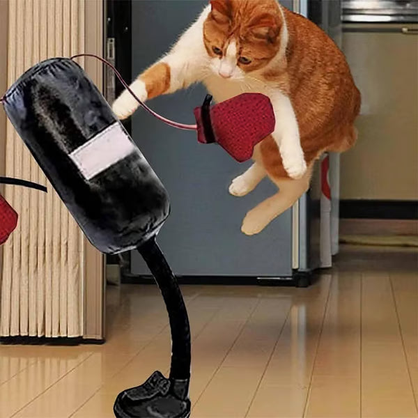 Juguete interactivo para gatos con forma de tren - ES