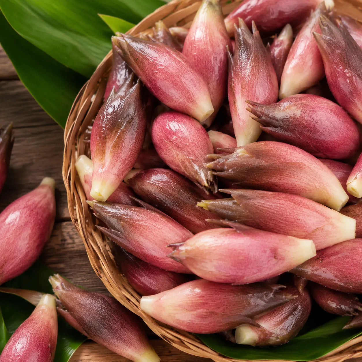 🌱 Sjemenke Myogija | Jednostavne za uzgoj • Jak okus • Ukusne-HR