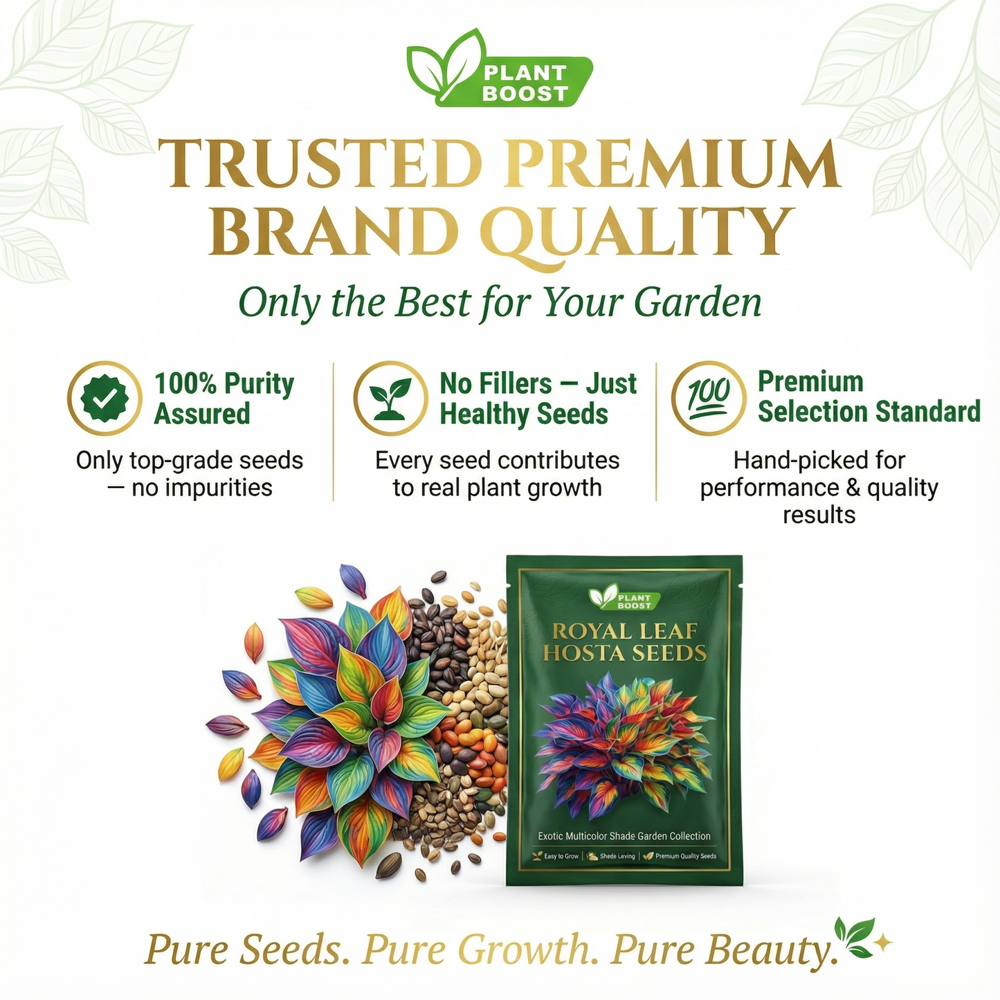 Σπόροι φιλοξενίας Royal Leaf-GR