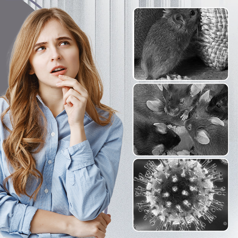 Trampas adhesivas extra grandes para ratas-ES