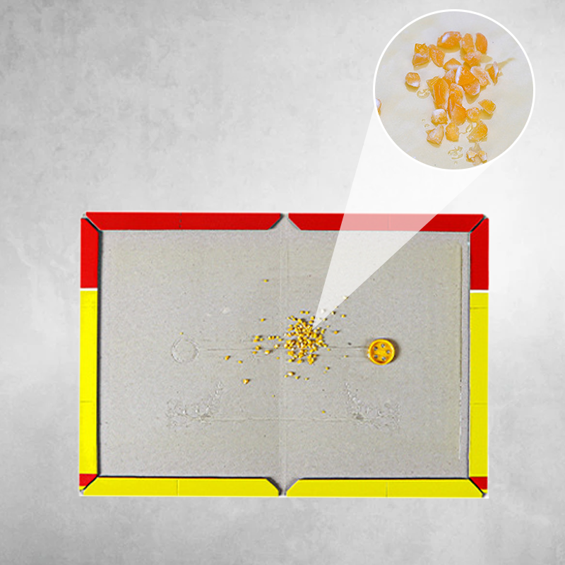 Trampas adhesivas extra grandes para ratas-ES