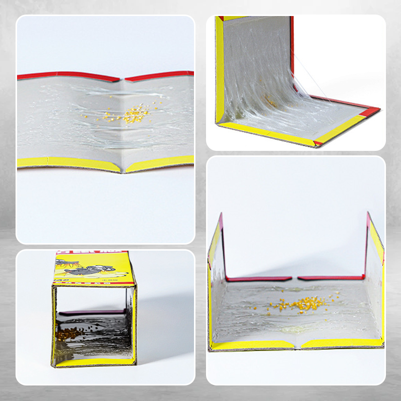 Trampas adhesivas extra grandes para ratas-ES