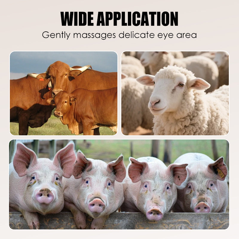 Efektyvus grandiklis gyvulių plaukams šalinti-LT