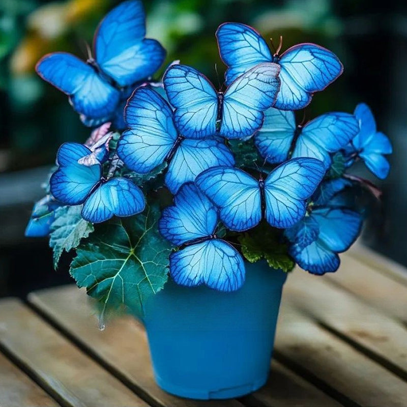 Semillas de flores elegantes con forma de mariposa-ES